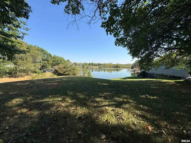 a view of a yard with a tree