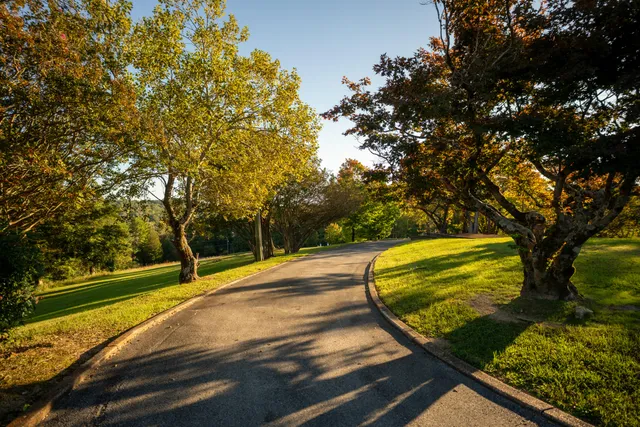 $3,100,000 | 209 Browntown Road, Red Bank, TN 37415