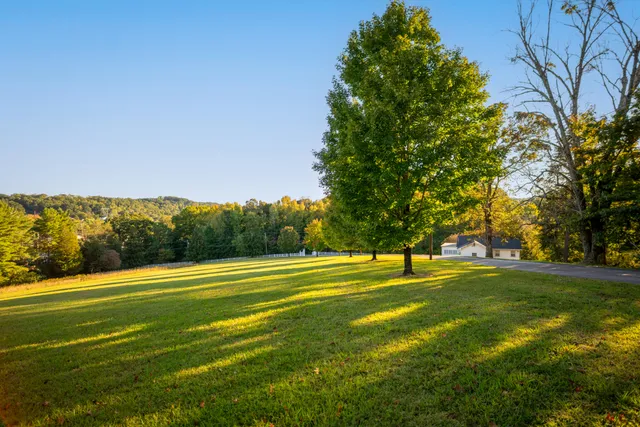 $3,100,000 | 209 Browntown Road, Red Bank, TN 37415