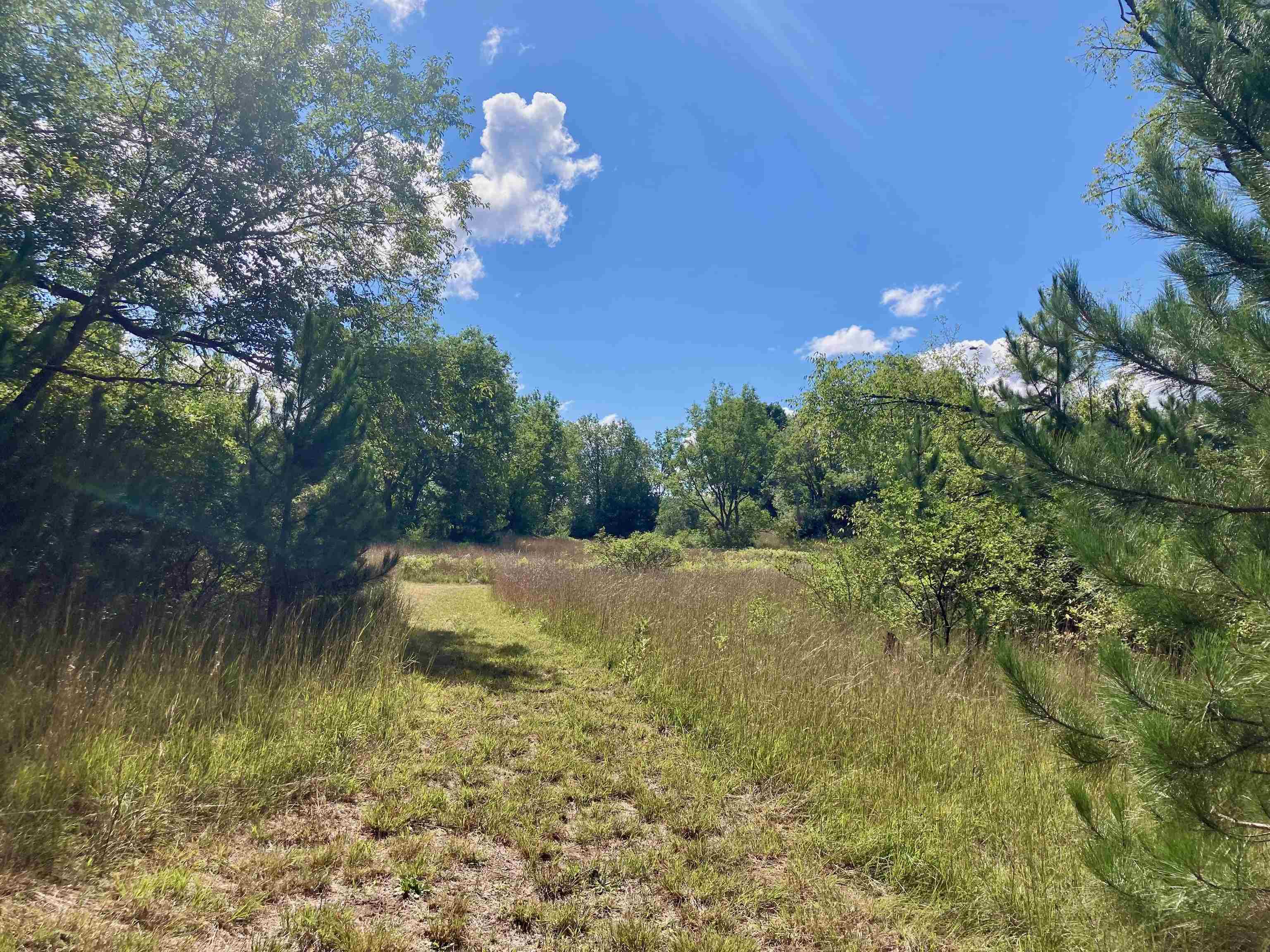3800 North 13 Road Mesick, MI 49668 - Photo 58 of 70