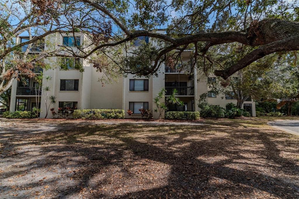 700 Starkey Road, Unit 1114 Largo, FL 33771 - Photo 3 of 22 Gallery Image 3