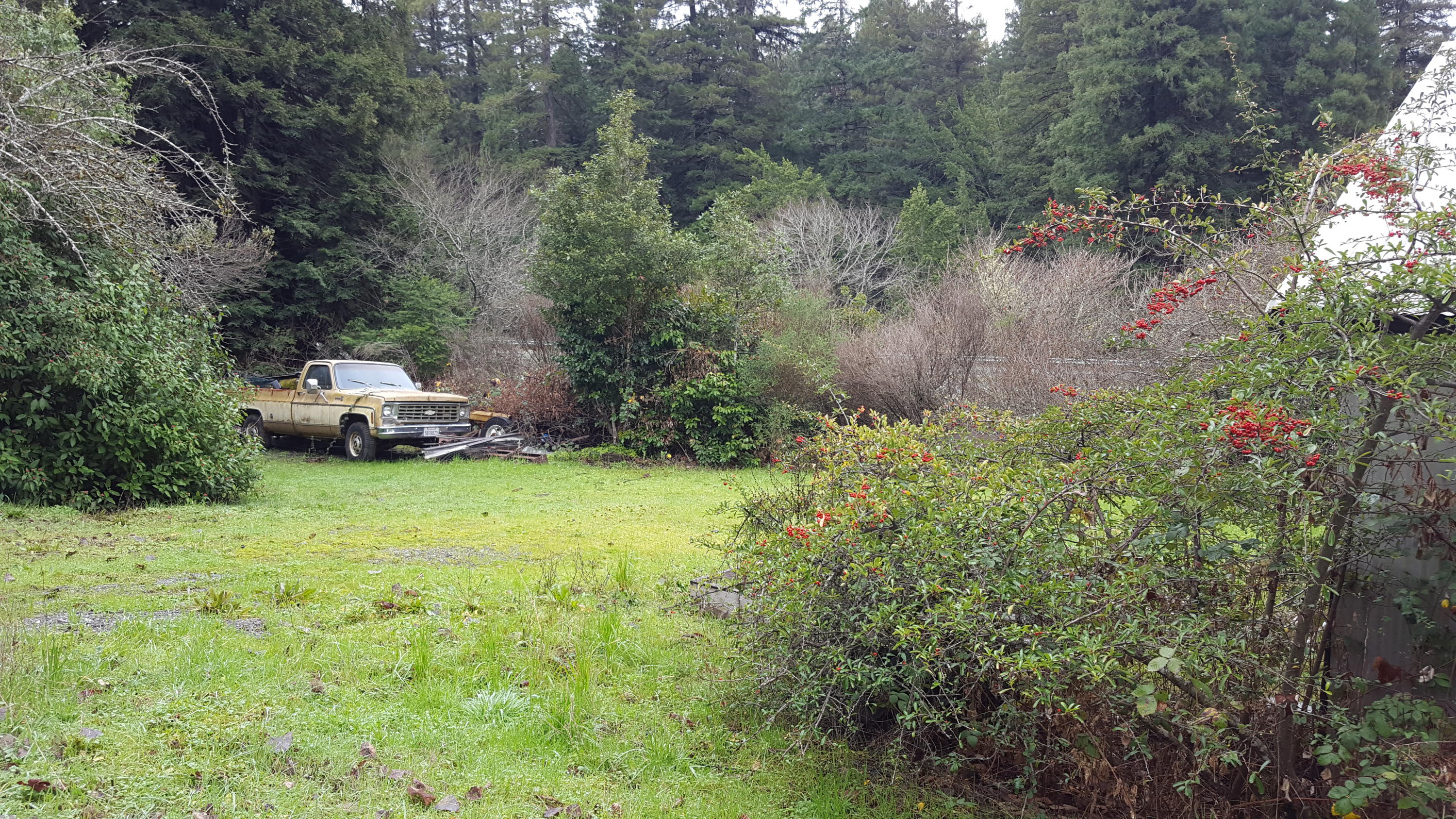 176 South Spring Street Weott, CA 95571 - Photo 27 of 27