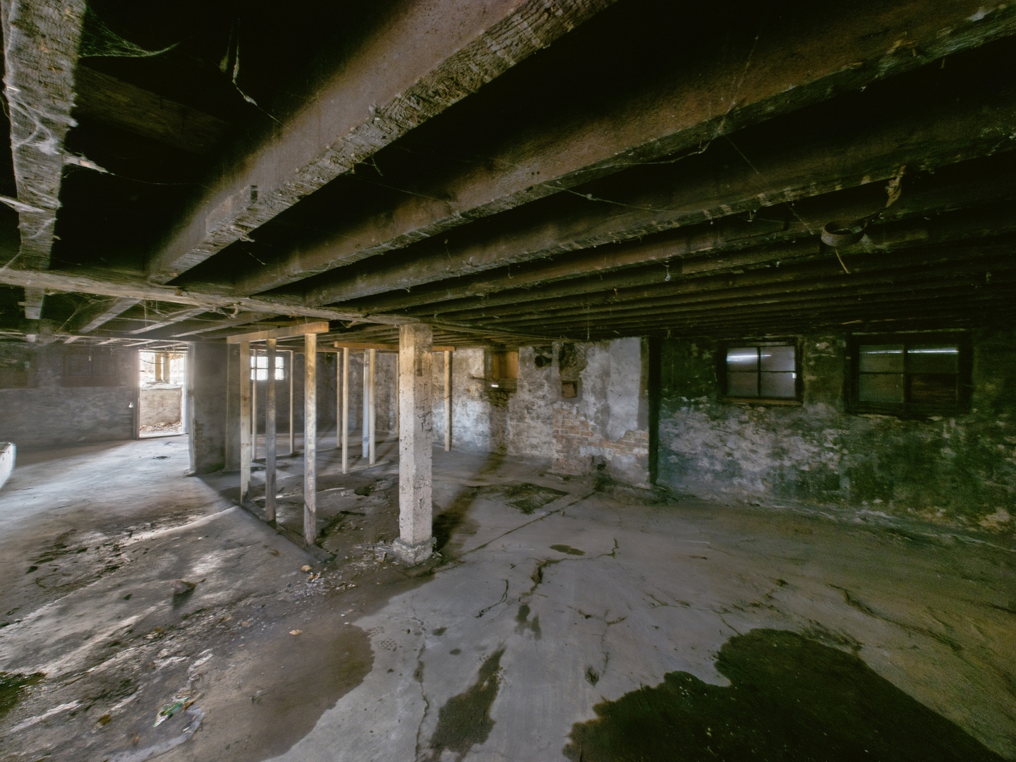 7047 South Princeton Avenue Chicago, IL 60621 - Photo 18 of 23 a backyard with wooden fence and some plants