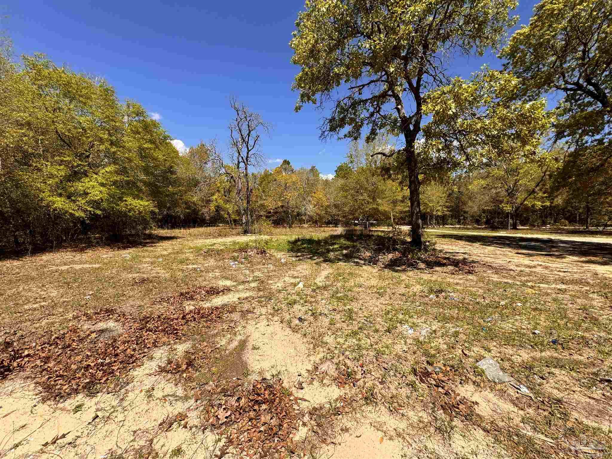 0 Manassas Road Milton, FL 32583 - Photo 14 of 14 Gallery Image 14
