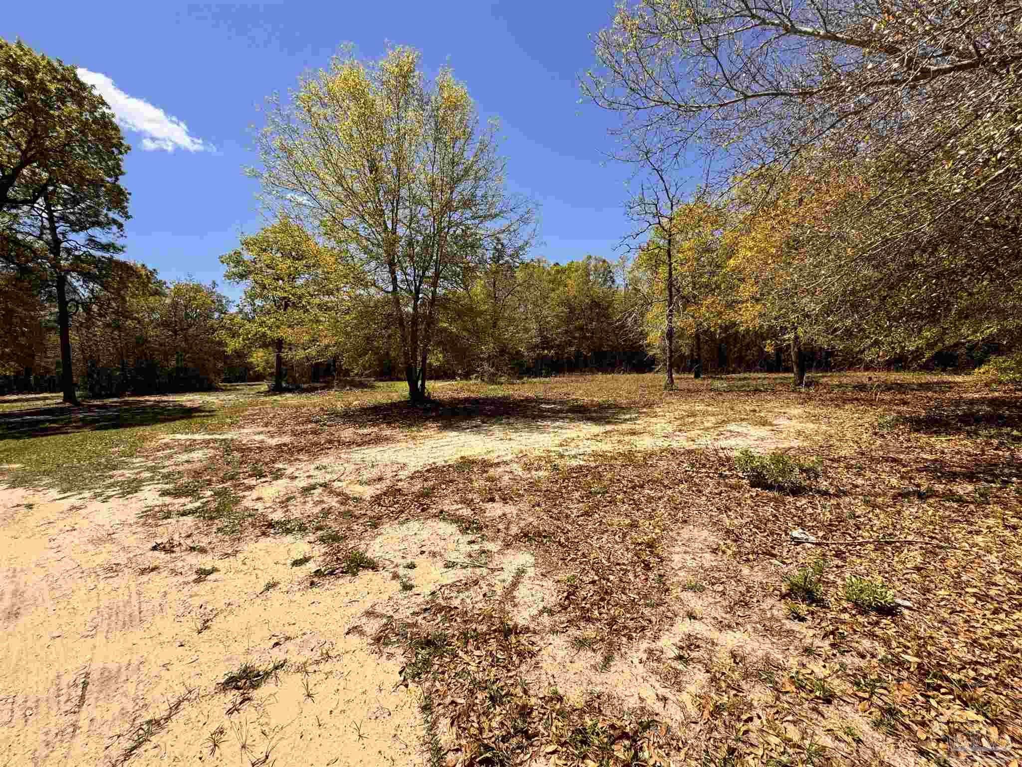 0 Manassas Road Milton, FL 32583 - Photo 4 of 14 Gallery Image 4