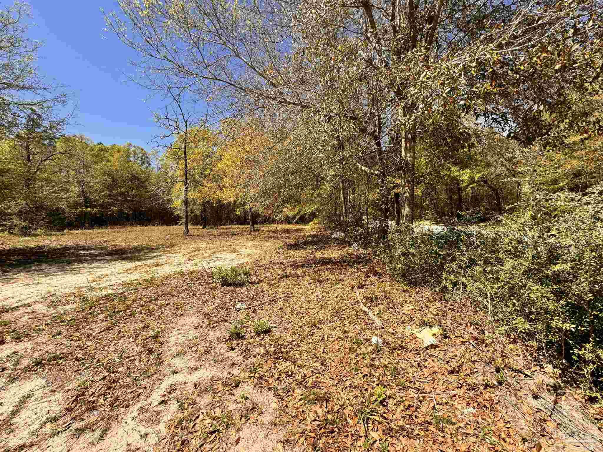 0 Manassas Road Milton, FL 32583 - Photo 5 of 14 Gallery Image 5