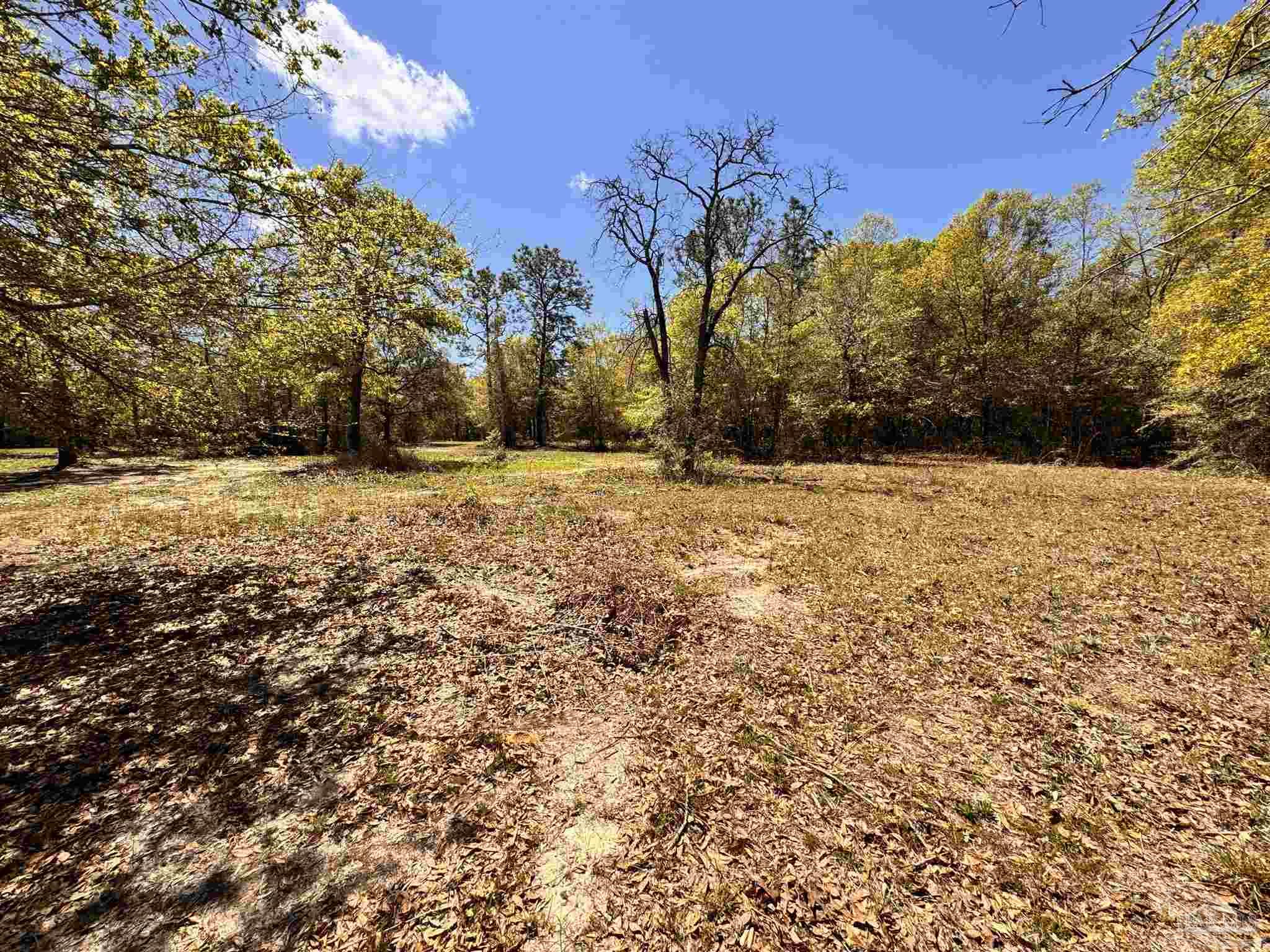 0 Manassas Road Milton, FL 32583 - Photo 7 of 14 Gallery Image 7
