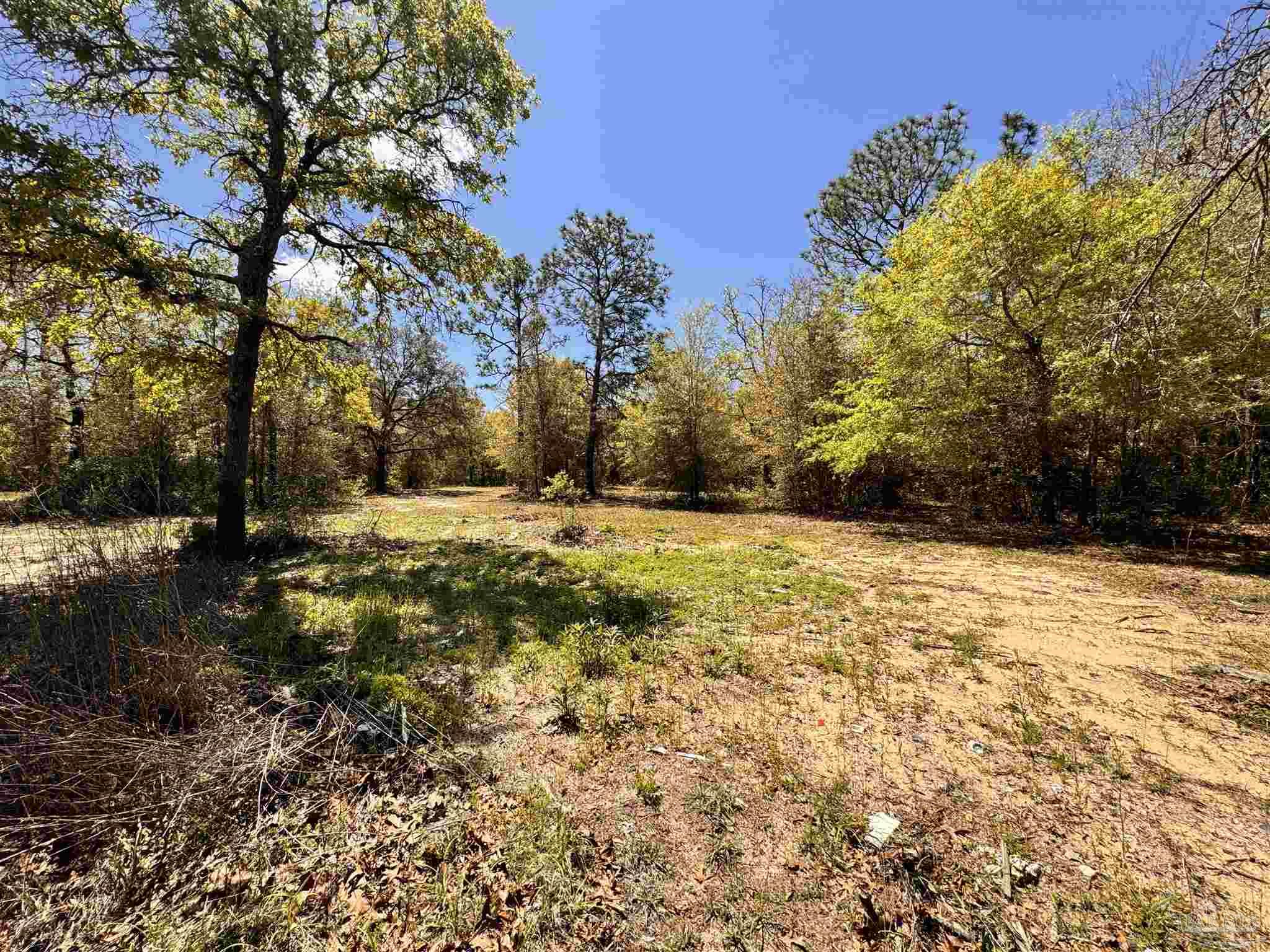 0 Manassas Road Milton, FL 32583 - Photo 9 of 14 Gallery Image 9