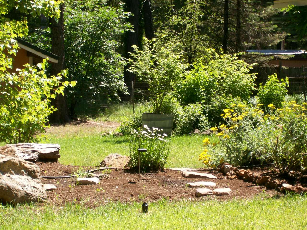 32990 Torrey Pines Road Shingletown, CA 96088 - Photo 2 of 9 a view of a garden with an outdoor seating area