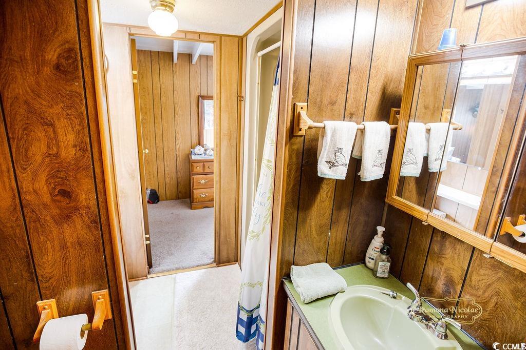298 Flamingo Surfside Beach, SC 29575 - Photo 22 of 31 Bathroom with wooden walls, vanity, and carpet floors