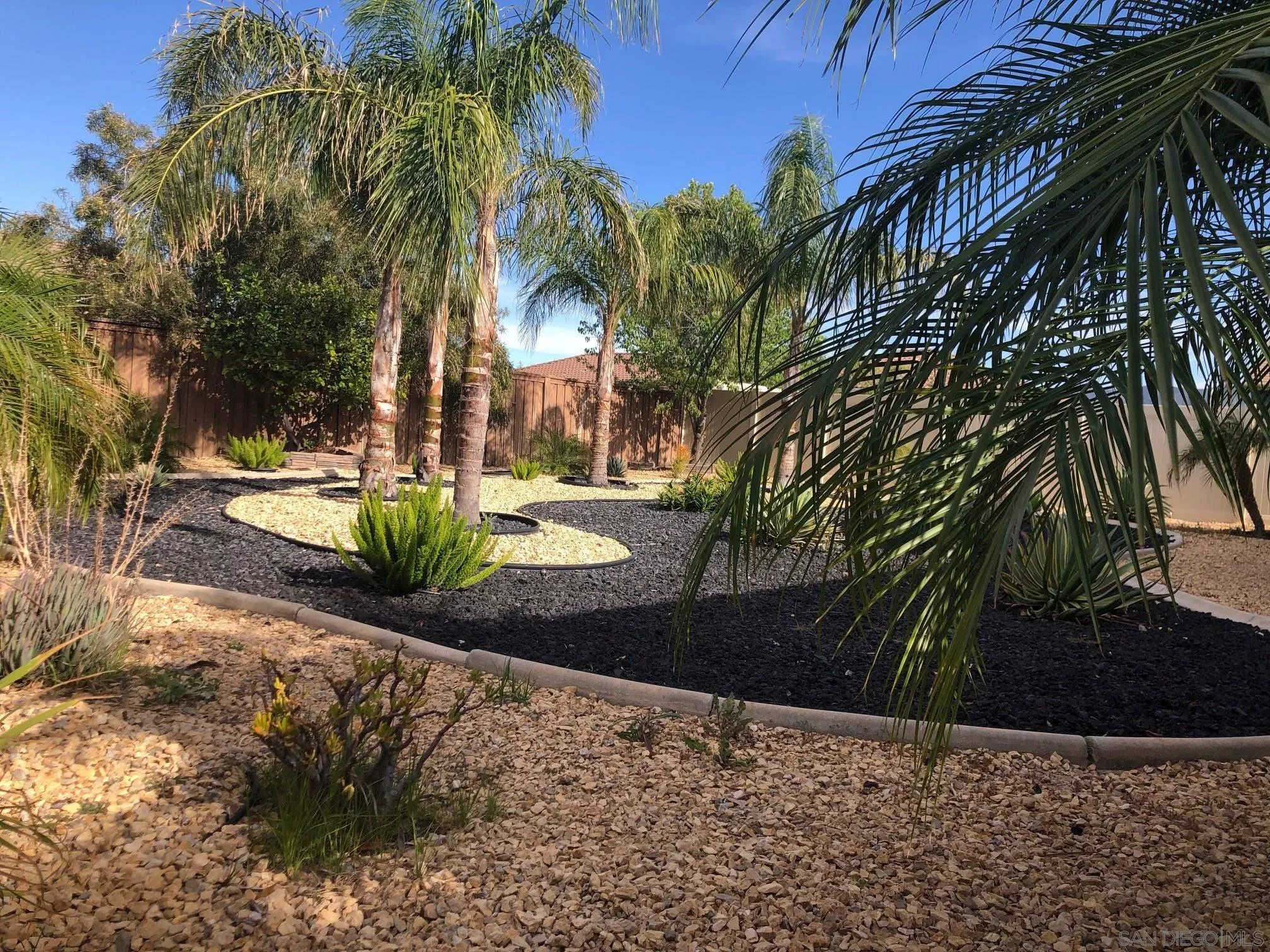 276 South Ralph Road Lake Elsinore, CA 92530 - Photo 7 of 15 a view of a yard with plants