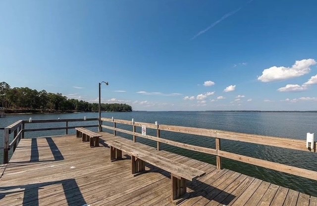 587 Forest Boulevard Abbeville, AL 36310 - Photo 4 of 14