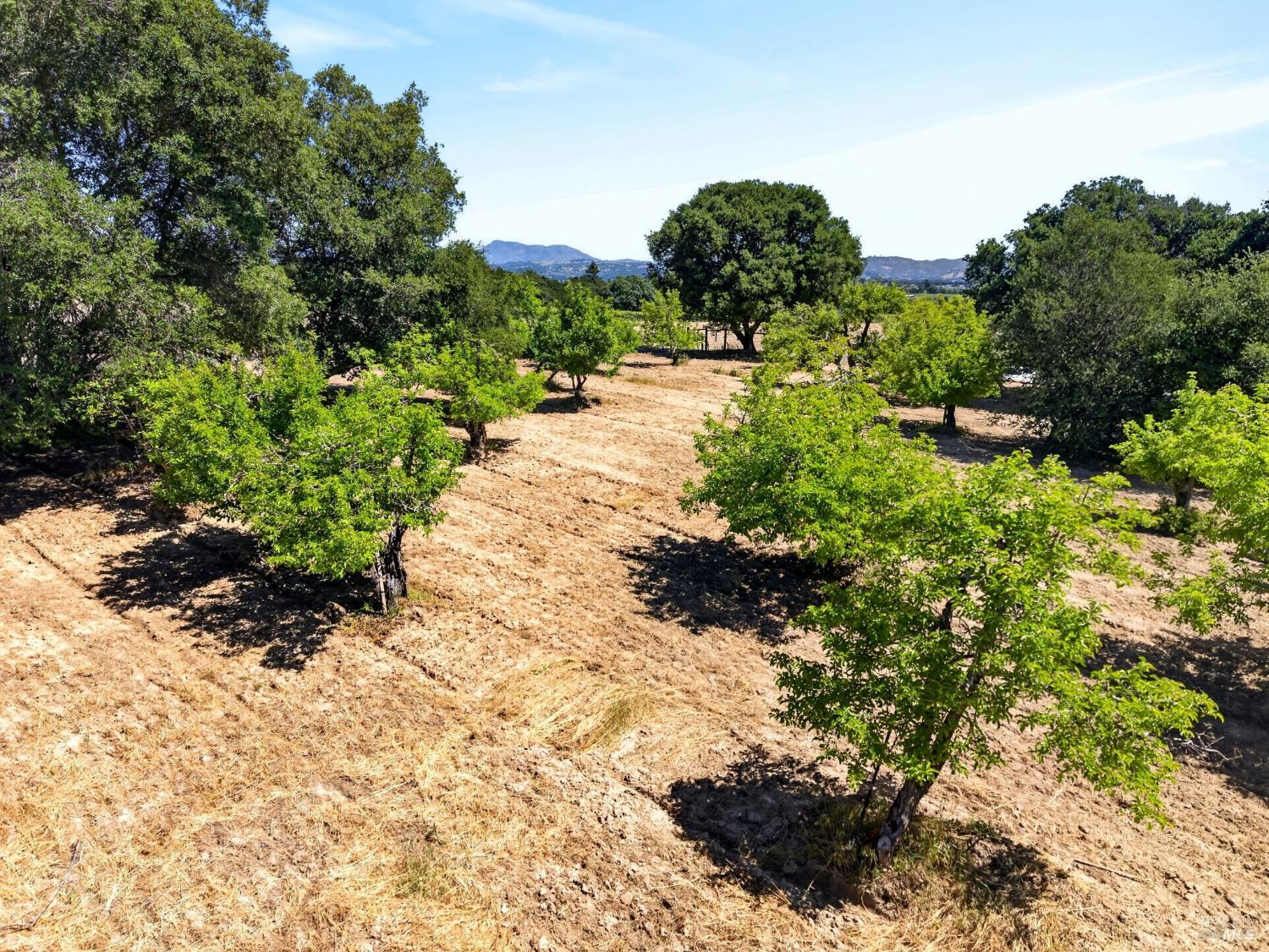 2062 Laguna Road Santa Rosa, CA 95401 - Photo 77 of 80