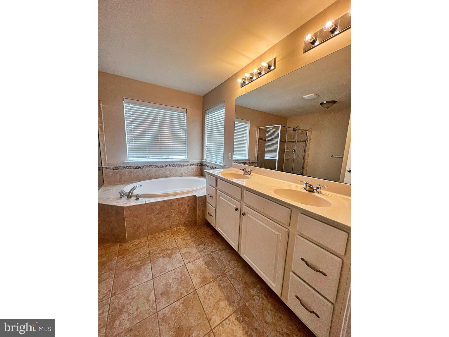 1147 Cardigan Road Middletown, DE 19709 - Photo 18 of 32 a large bathroom with a tub a double vanity sink and mirror