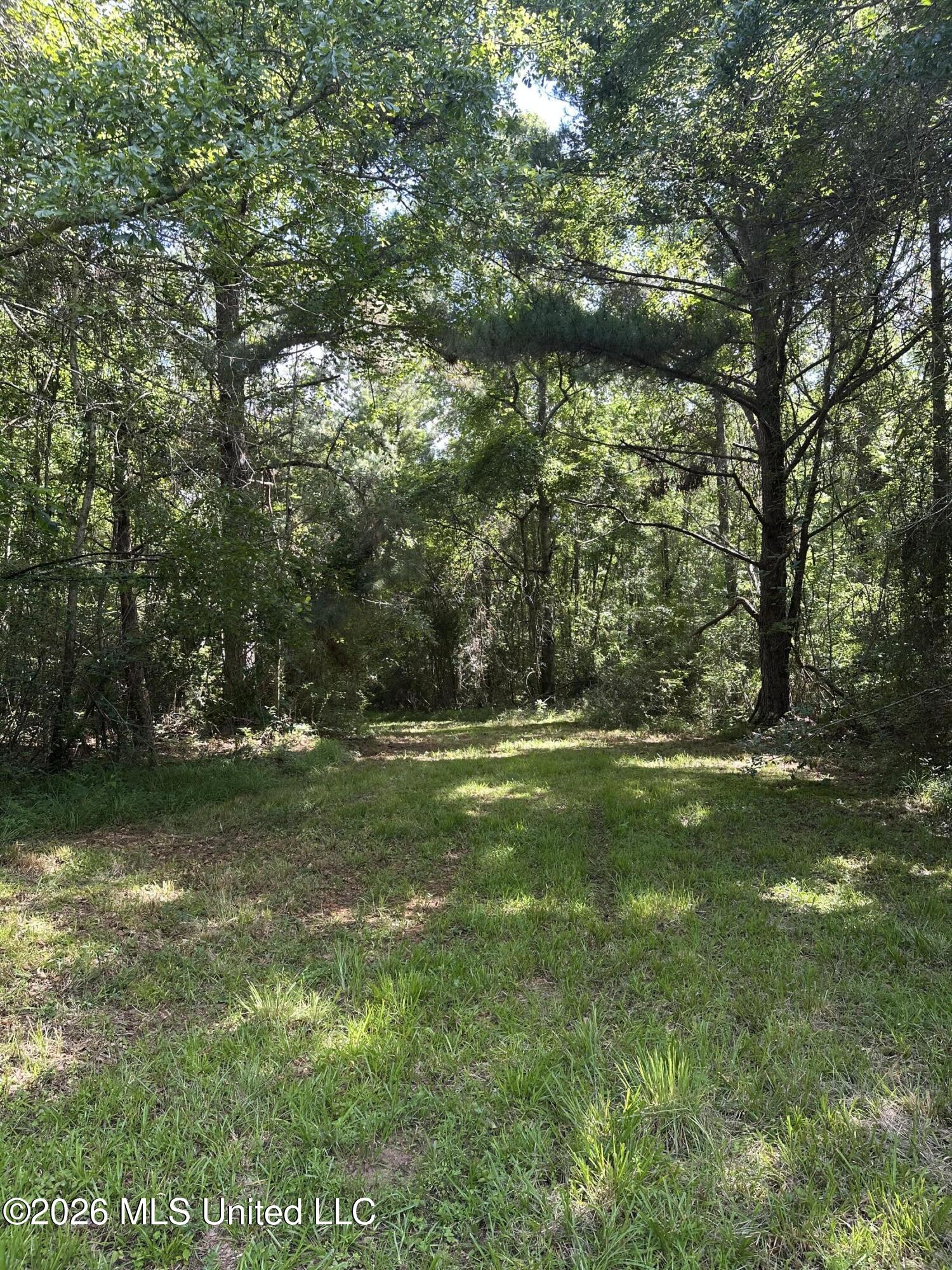 135 Joe Booth Road Taylorsville, MS 39168 - Photo 14 of 22 IMG_5285