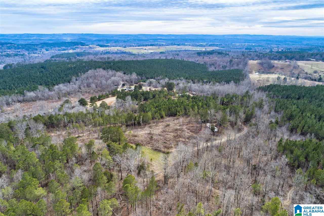 620 Chief Albert Road Blountsville, AL 35031 - Photo 7 of 15