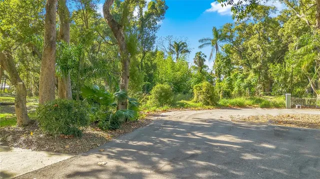 a view of a yard with plants and trees
