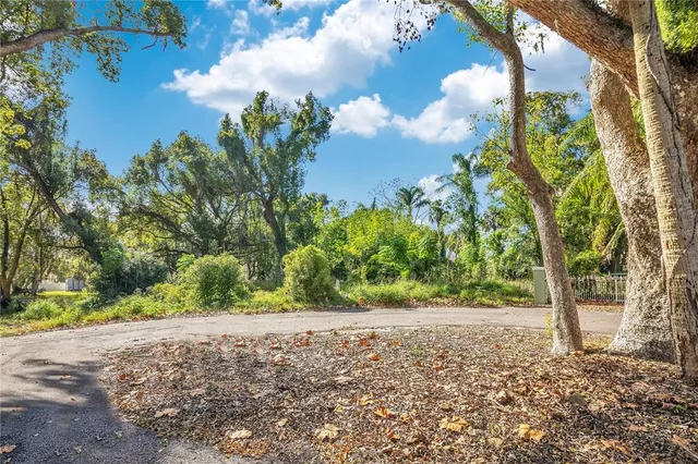 a view of a yard with plants and trees