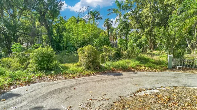 a view of a yard with plants and trees beside of road