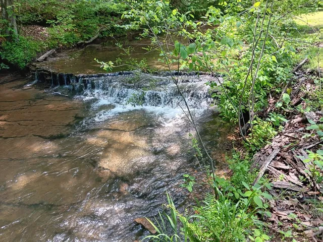 a view of a house with backyard and garden