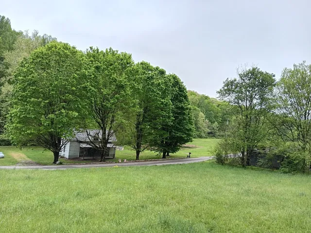 a swimming pool with trees in the background