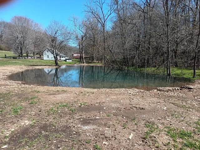 a view of yard with green space