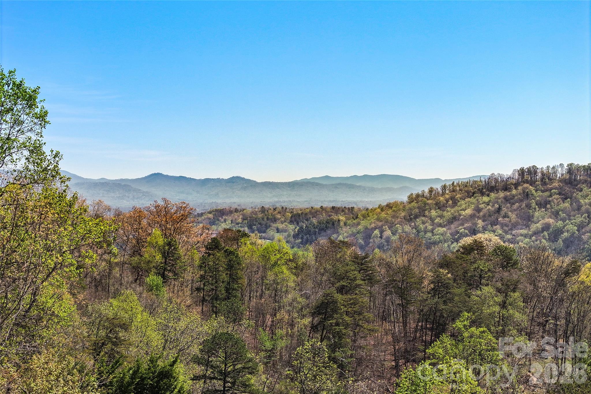 151 Kerr Road Leicester, NC 28748 - Photo 14 of 48 Gallery Image 14