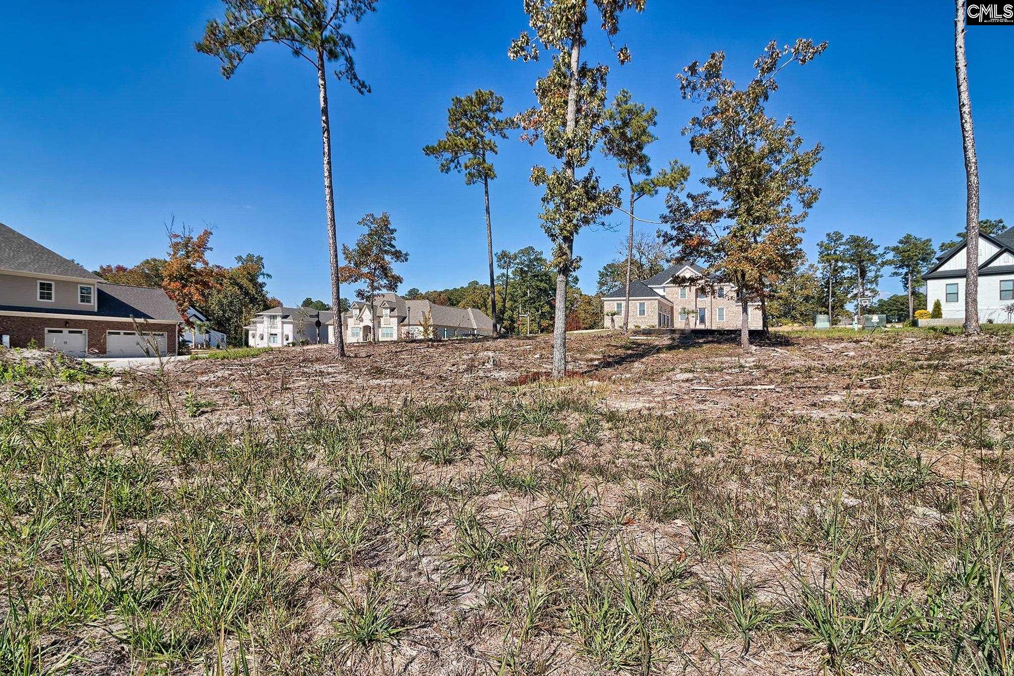 183 Coopers Nursery Road Elgin, SC 29045 - Photo 6 of 14