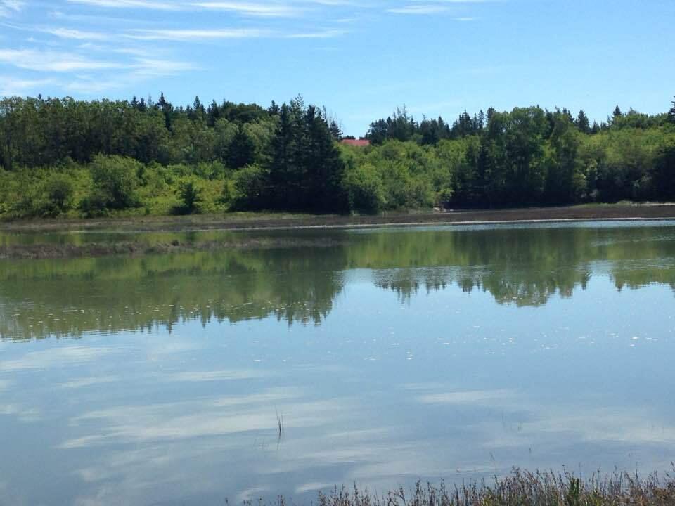 27 Crows Neck Road Lubec, ME 04652 - Photo 10 of 54 CN3