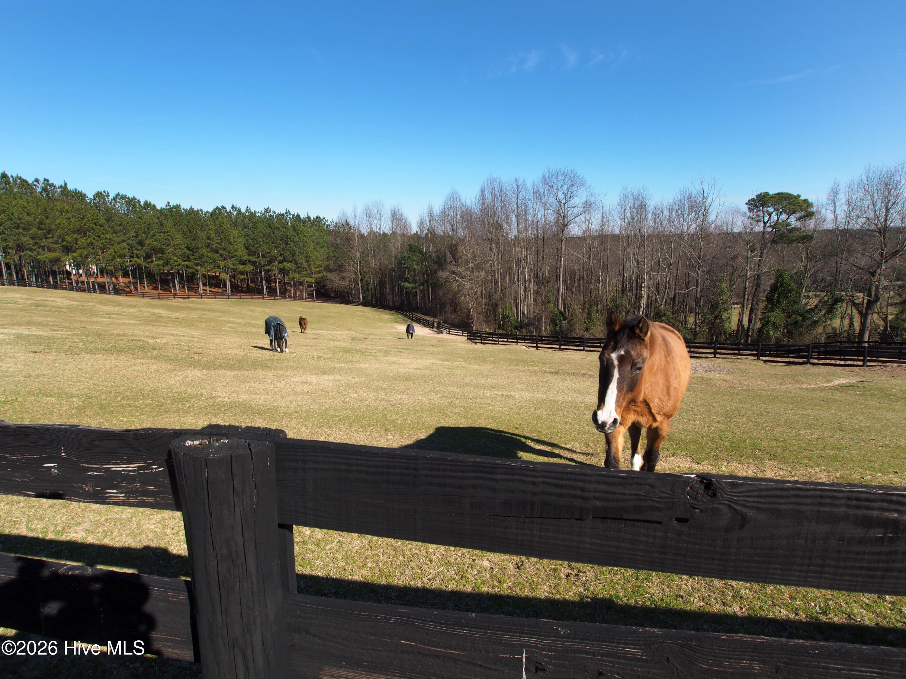 210 Beths Point West End, NC 27376 - Photo 173 of 174