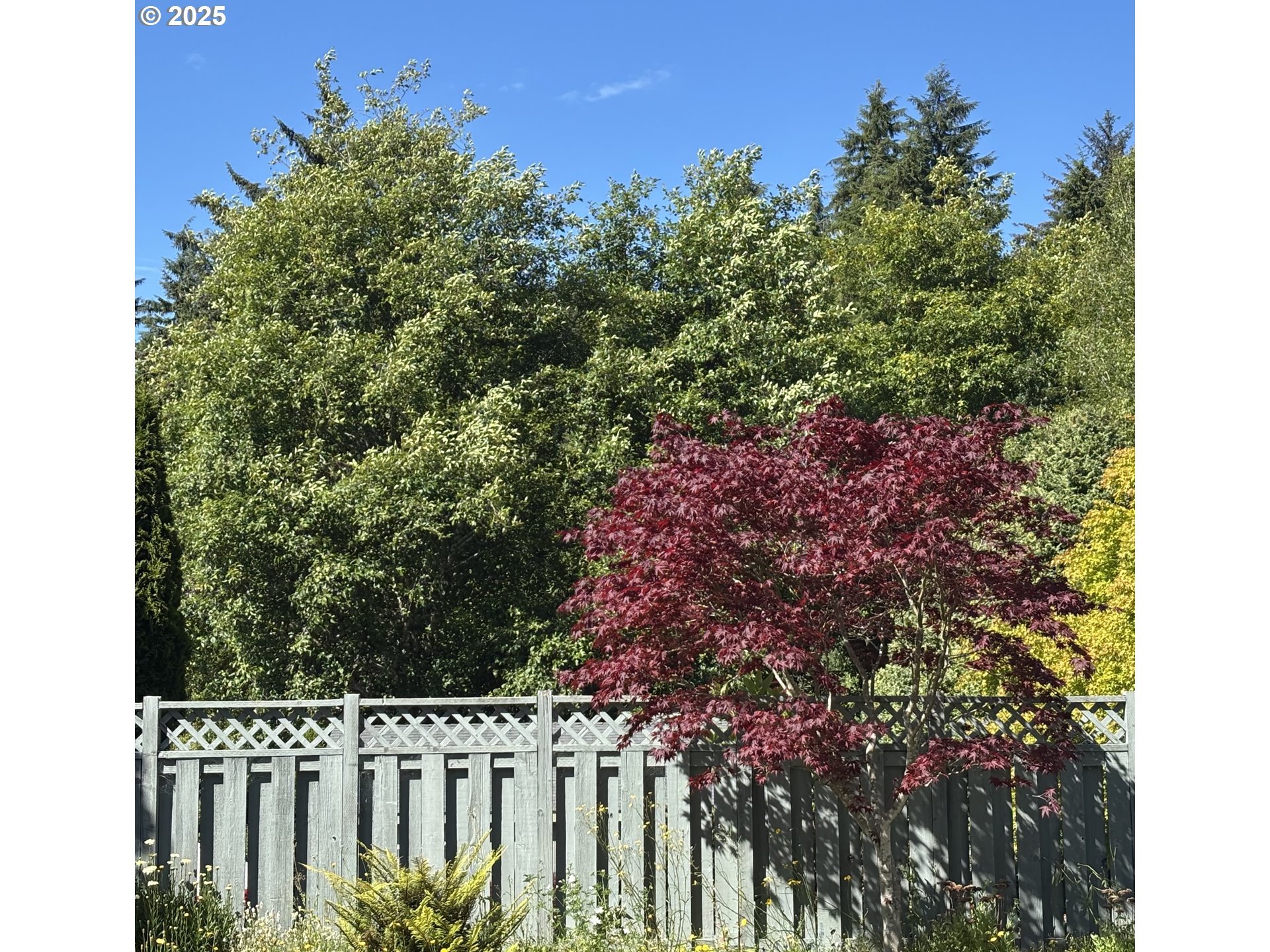 447 Spruce Street Wheeler, OR 97147 - Photo 27 of 30 Gallery Image 27