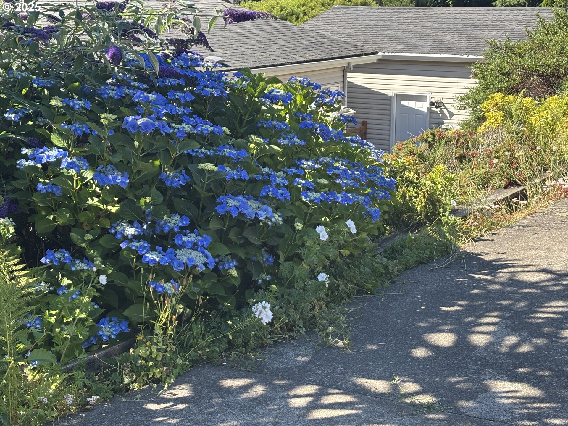 447 Spruce Street Wheeler, OR 97147 - Photo 29 of 30 Gallery Image 29