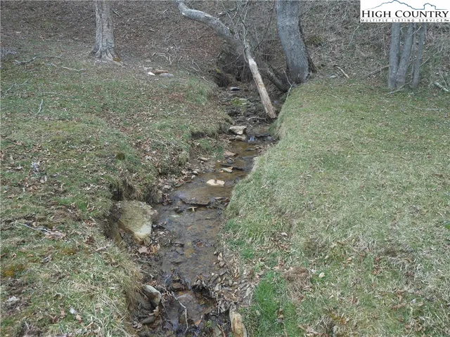 a view of a dry yard with trees