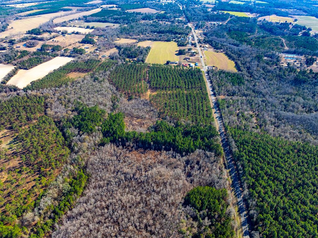 Lot 3-15 -ac Cottonwood Rd/ Phillips Road Cottonwood, AL 36320 - Photo 40 of 49