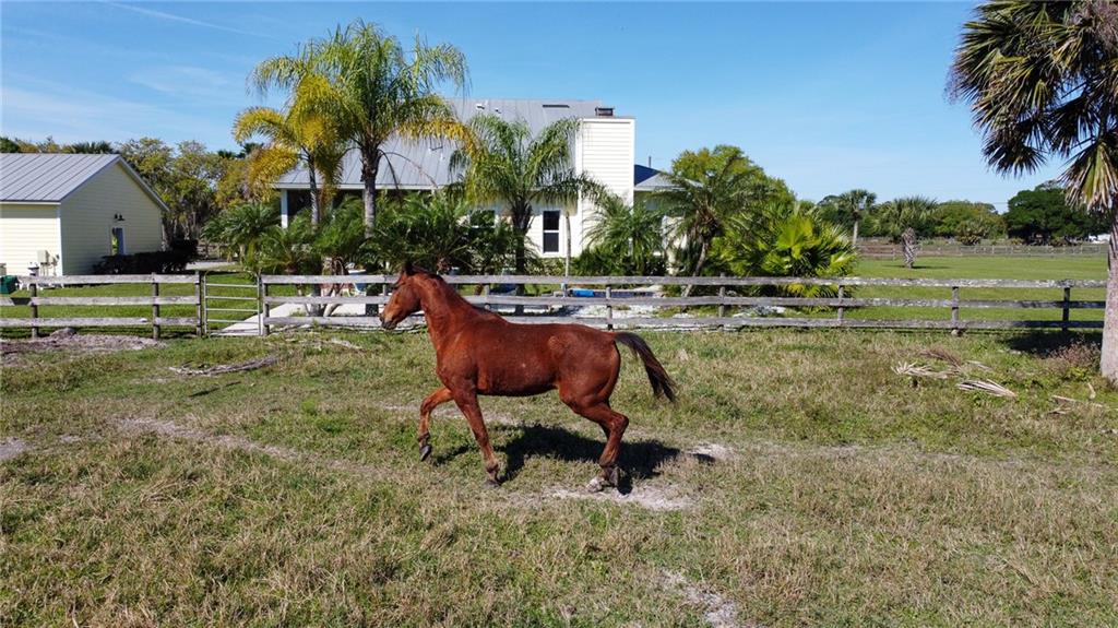 4776 Northwest Dunn Road Fort Pierce, FL 34981 - Photo 8 of 36 Gallery Image 8