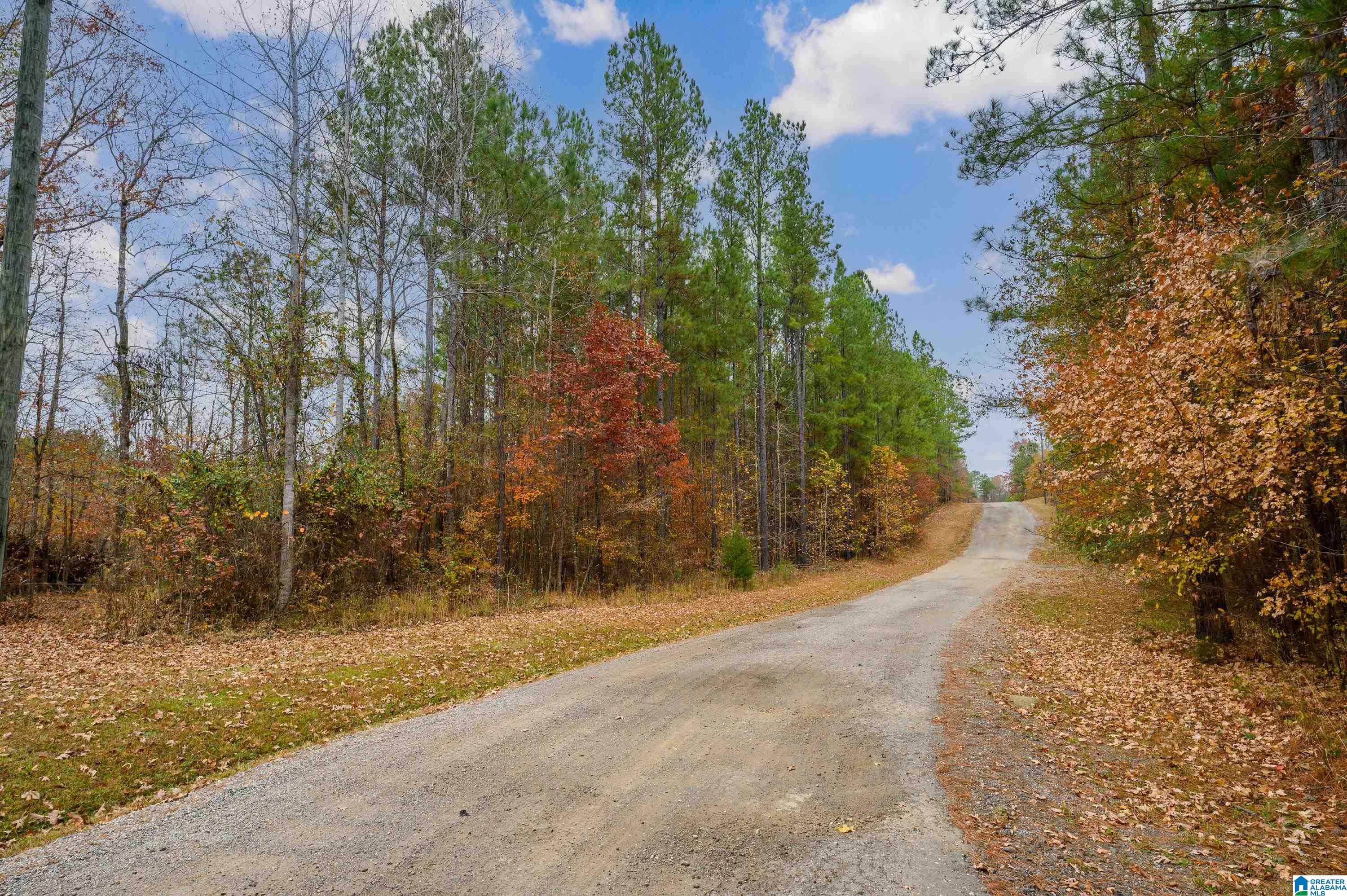 8799 Shades Fall Way, Unit 2 Bessemer, AL 35022 - Photo 36 of 45