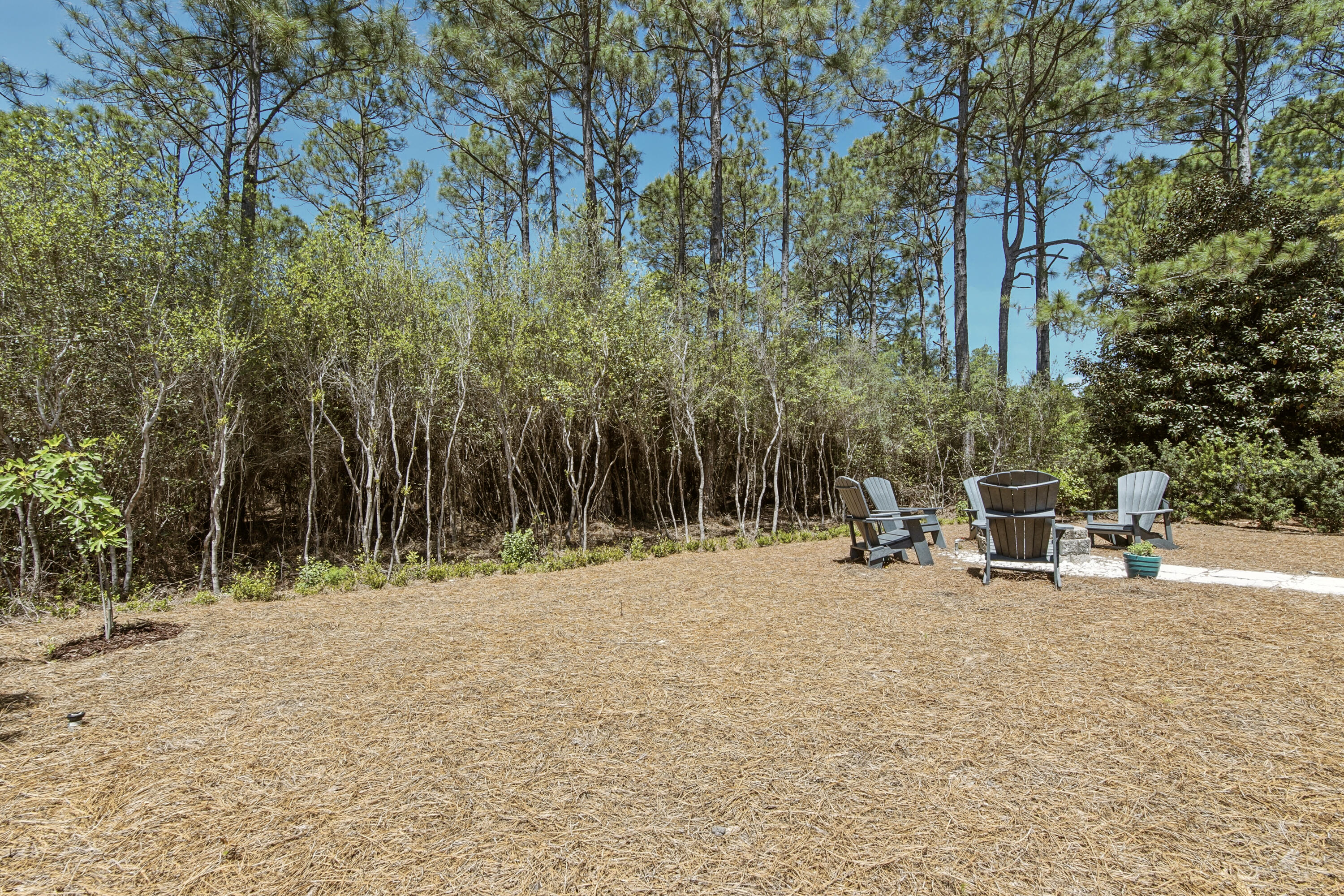 755 Breakers Street, Unit LOT 50 Inlet Beach, FL 32461 - Photo 45 of 61 DSC00341 (1)