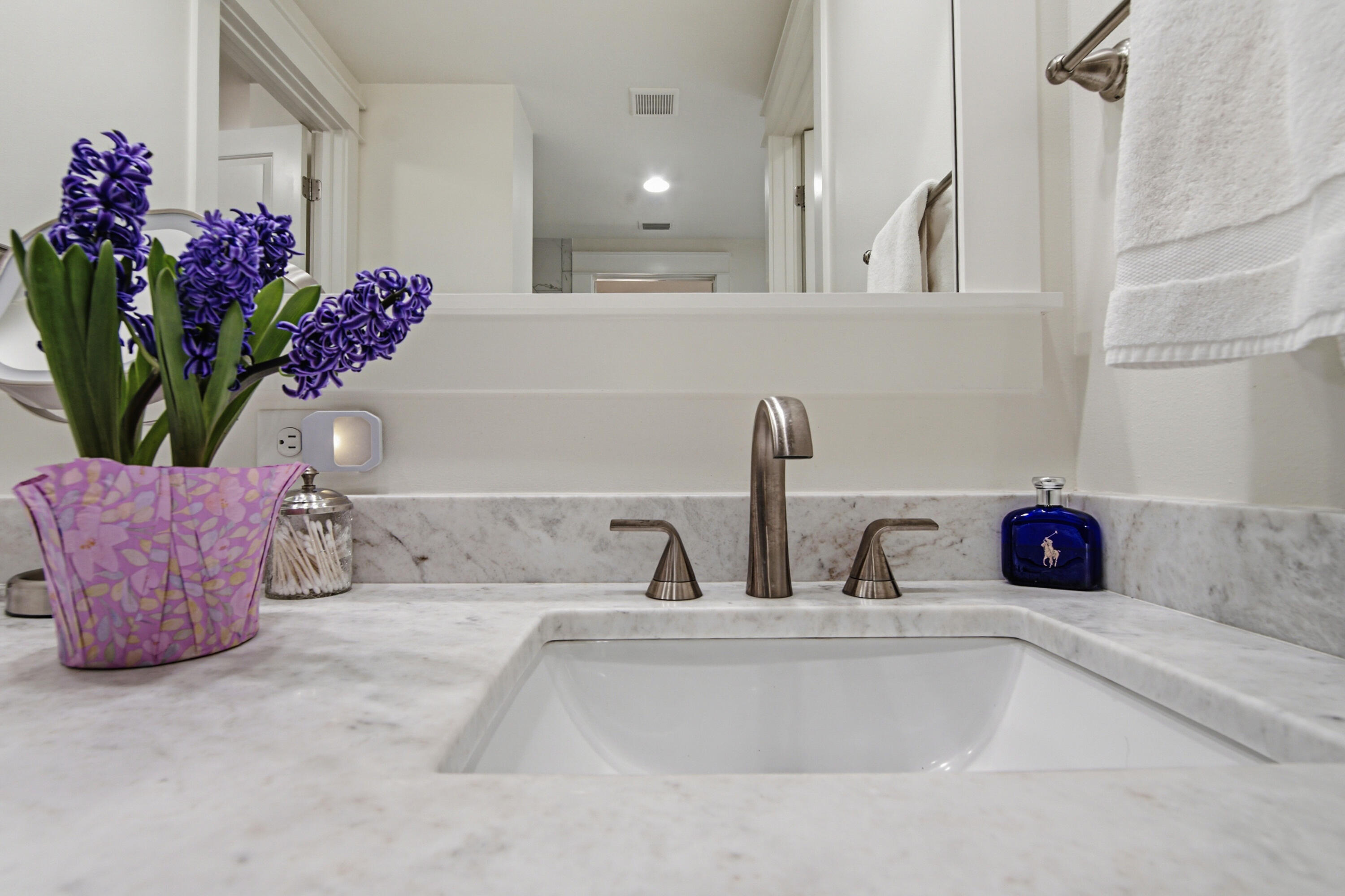 755 Breakers Street, Unit LOT 50 Inlet Beach, FL 32461 - Photo 50 of 61 a bathroom sink with a potted plant