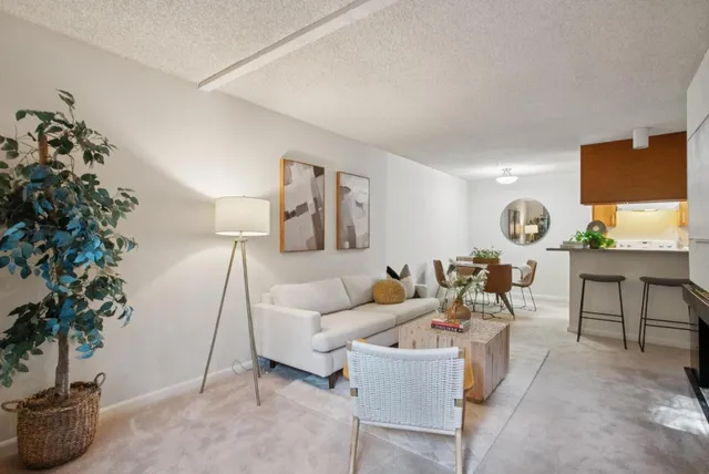 a living room with furniture potted plant and a window