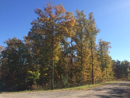 0 Forest Knoll Road, Unit 24 & 25 Dunlap, TN 37327 - Photo 1 of 18 1