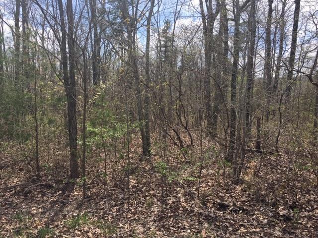 0 Forest Knoll Road, Unit 24 & 25 Dunlap, TN 37327 - Photo 2 of 18 2
