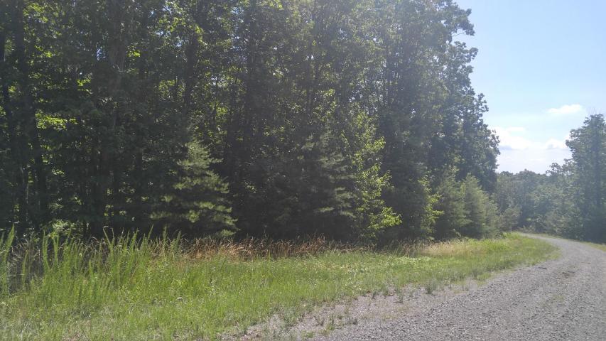 0 Forest Knoll Road, Unit 24 & 25 Dunlap, TN 37327 - Photo 12 of 18 12