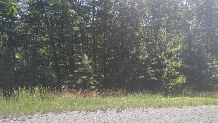 0 Forest Knoll Road, Unit 24 & 25 Dunlap, TN 37327 - Photo 13 of 18 13