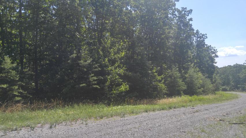 0 Forest Knoll Road, Unit 24 & 25 Dunlap, TN 37327 - Photo 14 of 18 14