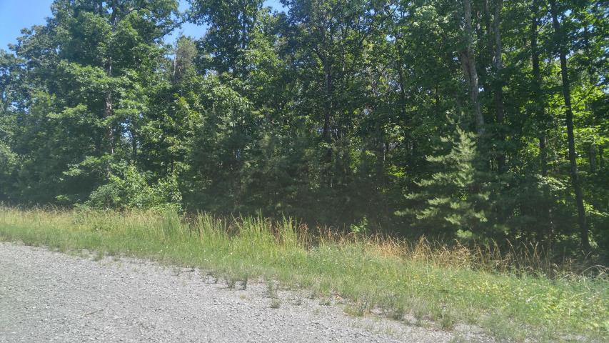 0 Forest Knoll Road, Unit 24 & 25 Dunlap, TN 37327 - Photo 15 of 18 15