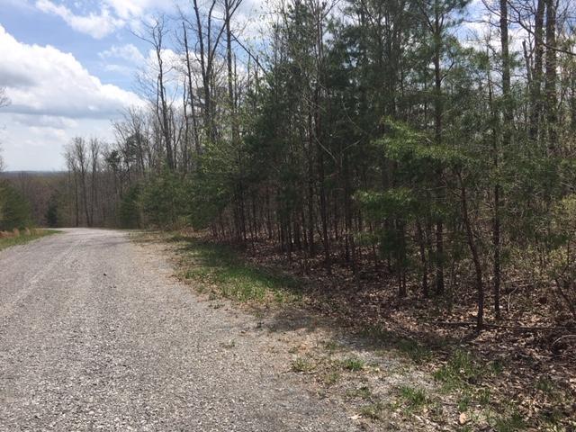 0 Forest Knoll Road, Unit 24 & 25 Dunlap, TN 37327 - Photo 3 of 18 3