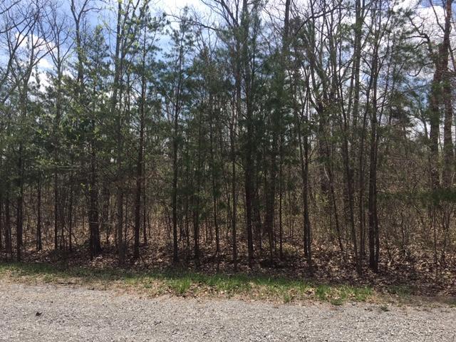 0 Forest Knoll Road, Unit 24 & 25 Dunlap, TN 37327 - Photo 4 of 18 4