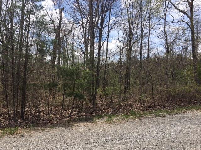 0 Forest Knoll Road, Unit 24 & 25 Dunlap, TN 37327 - Photo 5 of 18 5