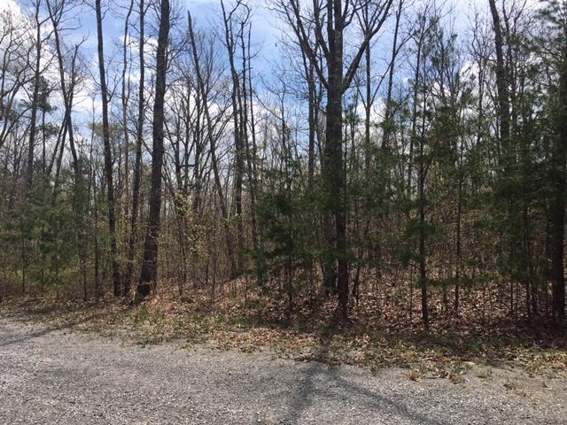 0 Forest Knoll Road, Unit 24 & 25 Dunlap, TN 37327 - Photo 6 of 18 6