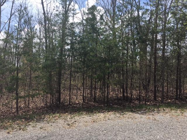 0 Forest Knoll Road, Unit 24 & 25 Dunlap, TN 37327 - Photo 7 of 18 7